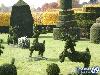 Collection Of Creative Gardens