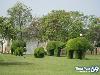 Collection Of Creative Gardens