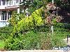 Collection Of Creative Gardens