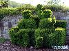 Collection Of Creative Gardens