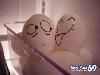 Funny Eggs - Funny Eggs Pictures, Funny Eggs Sayings, Funny Eggs Jokes