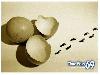 Funny Eggs - Funny Eggs Pictures, Funny Eggs Sayings, Funny Eggs Jokes