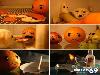 Funny Eggs - Funny Eggs Pictures, Funny Eggs Sayings, Funny Eggs Jokes