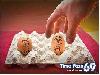 Funny Eggs - Funny Eggs Pictures, Funny Eggs Sayings, Funny Eggs Jokes