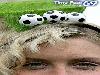 Football Fan Haircuts
