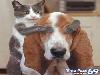Funny Images