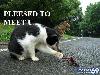 Funny Images