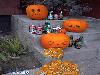 Funny Images