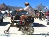 Funny  Bicycles