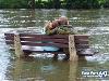 Funny Activitiy During Flood