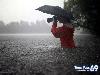 Funny Activitiy During Flood