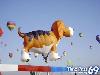 Funny Balloons - Funny Ballons Pictures, Funny Balloons Games & Films