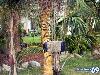 Funny Mail Boxes