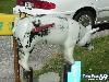 Funny Mail Boxes