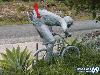Funny Mail Boxes