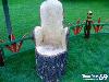Funny Pictures