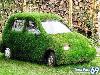 Green cars