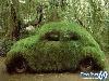 Green cars