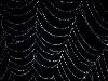 After Rain Effects in Spiders Web