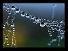 After Rain Effects in Spiders Web
