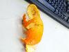 Creative Art in Orange Fruit