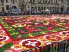 Floral Carpets at Brussels