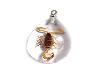 Latest Fashion Jewelry for Women made of insects