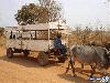Typical African Products