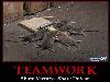 A Very Good Team Work