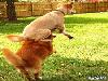 A Very Good Team Work