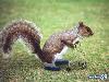 Adorable Animals in Action