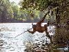Adorable Animals in Action