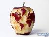 Amazing Food Creations by Talented Artists