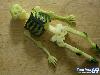 Amazing Food Creations by Talented Artists