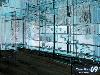 Amazing Glass House Pictures