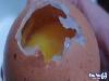 Beware of China Eggs