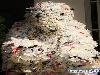 Creative Recycled Sculptures
