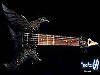 Guitars Pictures