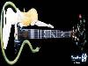 Guitars Pictures