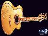 Guitars Pictures