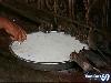 Rat Temple Karni Mata Rajasthan India
