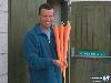 The Longest Carrot in The World