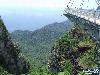 The Malaysia Sky Bridge