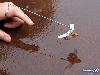 World First Flying Frog 
