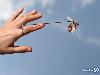 World First Flying Frog 