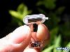 World Smallest Drilling Machine