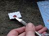 World Smallest Postal Service