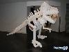 Balloon Twisting - Amazing Art