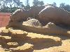 Creative Dinosaurs Sand Sculptures