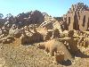 Creative Dinosaurs Sand Sculptures